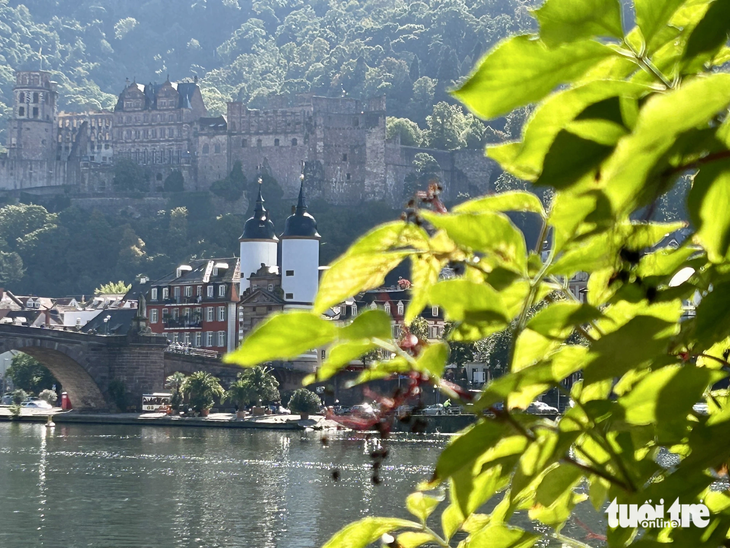 Nhờ đi theo con đường nhỏ dọc ven sông Neckar mà tôi phát hiện một khung cảnh đẹp rực rỡ - Ảnh: C.NHẬT