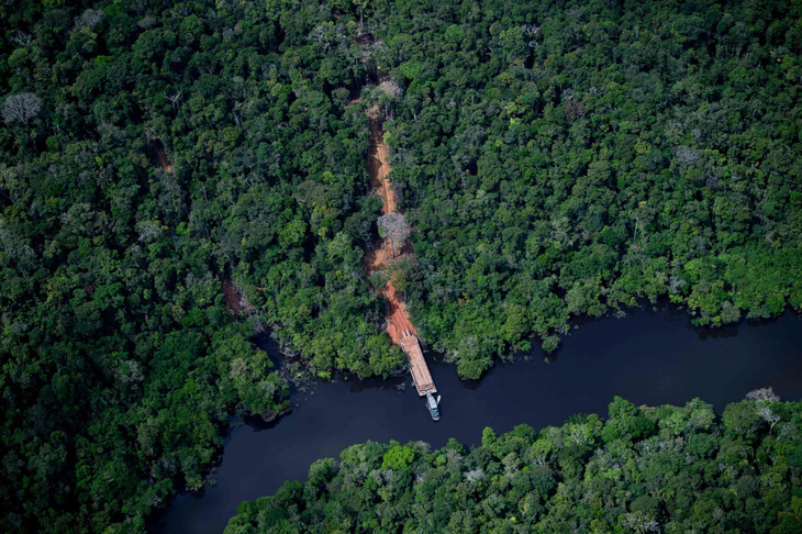 Rừng nhiệt đới Amazon, ở bang Amazonas, Brazil vào ngày 6-6-2022. Ảnh: afp.com