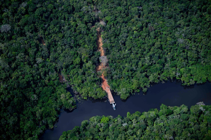 Rừng nhiệt đới Amazon, ở bang Amazonas, Brazil, vào ngày 6/6/2022. Ảnh: afp.com