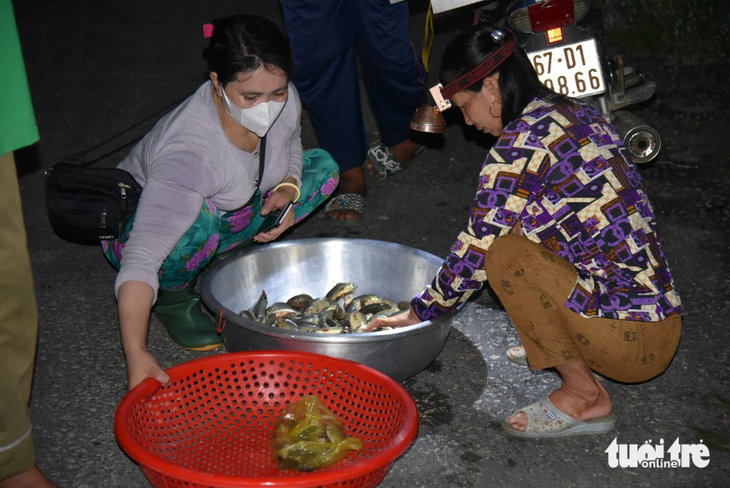 Thương lái thu mua cá mùa nước nổi ở &quot;chợ ma&quot; Tha La - Ảnh: CHÍ HẠNH