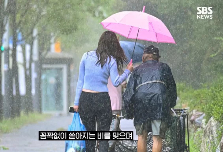 Bản tin về một cô gái trẻ nhường chiếc dù của mình che mưa cho cụ già đẩy xe rác tại tỉnh Gyeonggi, Hàn Quốc đang được dư luận nước này quan tâm rất nhiều - Ảnh: YONHAP NEWS TV