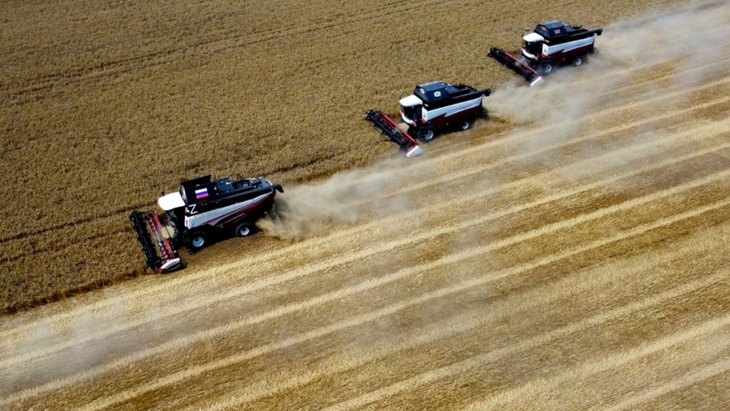 Máy gặt đập liên hợp trên các cánh đồng ở vùng Rostov, Nga - Ảnh: SPUTNIK