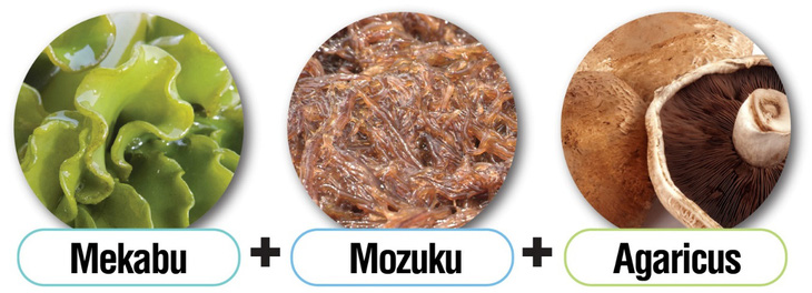 Fucoidan Umi No Shizuku được chiết xuất từ 2 loại tảo nâu mekabu, mozuku và sợi nấm agaricus