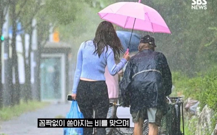 Cô gái Hàn nhường ô che mưa cho cụ ông đẩy xe rác
