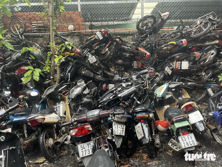 Hàng trăm xe “quá hạn” gửi ở bến xe Miền Đông, quận Bình Thạnh, TP.HCM - Ảnh: CHÂU TUẤN
