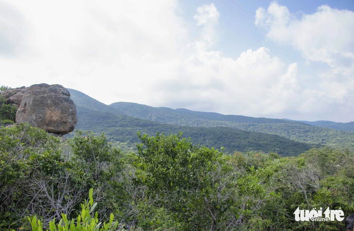 Với đặc trưng là khí hậu khô nóng nên Vườn quốc gia Núi Chúa còn được coi là một “thảo nguyên cây gai” độc nhất vô nhị ở Việt Nam - Ảnh: DUY NGỌC