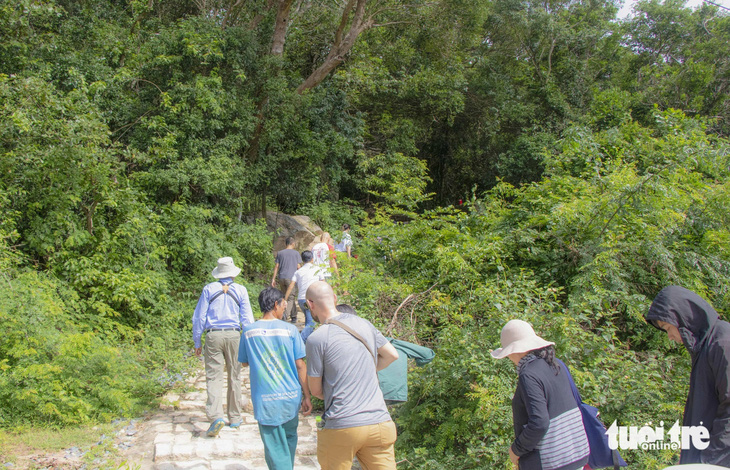 Đường tham quan Vườn quốc gia Núi Chúa xanh ngắt bóng cây - Ảnh: DUY NGỌC