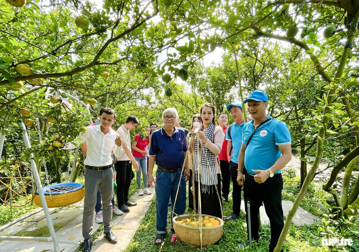 Nhiều vườn quýt hồng Lai Vung đã mở cửa đón khách tham quan nằm trên trục đường kết nối với TP Sa Đéc - Ảnh: ĐẶNG TUYẾT