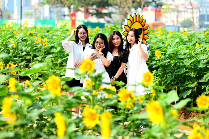Nhóm bạn trẻ chụp ảnh lưu niệm tại cánh đồng hoa hướng dương bờ sông Sài Gòn, TP Thủ Đức, TP.HCM vào sáng 31-12-2013 - Ảnh: QUANG ĐỊNH