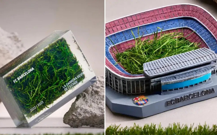 CLB Barcelona bán cỏ kiếm tiền cải tạo sân Nou Camp