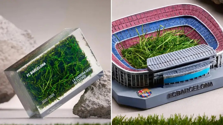 Phiên bản cỏ rẻ nhất (bên phải) và phiên bản cỏ đóng khung trong suốt - Ảnh: FC BARCELONA