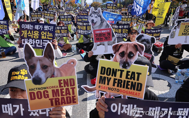 Hàn Quốc đau đầu chuyện bồi thường sau khi cấm thịt chó