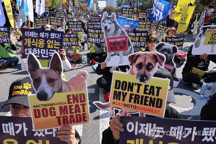 Đám đông biểu tình cấm ăn thịt chó ở thủ đô Seoul - Ảnh: YONHAP
