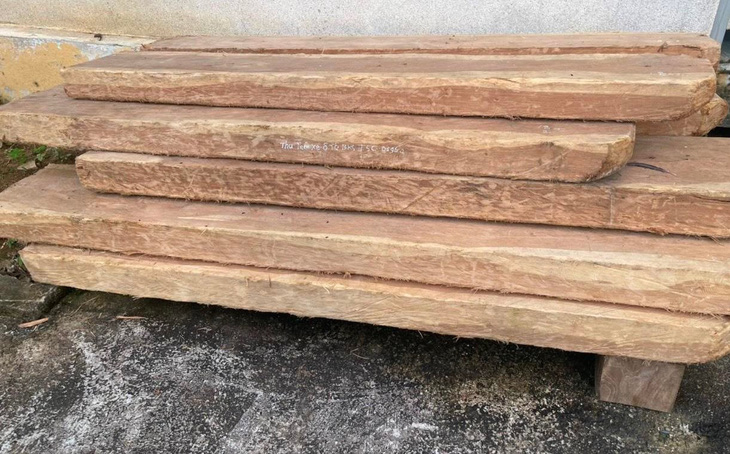 Công an Thừa Thiên Huế bắt một vụ vận chuyển gỗ lậu trên địa bàn huyện Nam Đông - Ảnh: TRẦN HỒNG