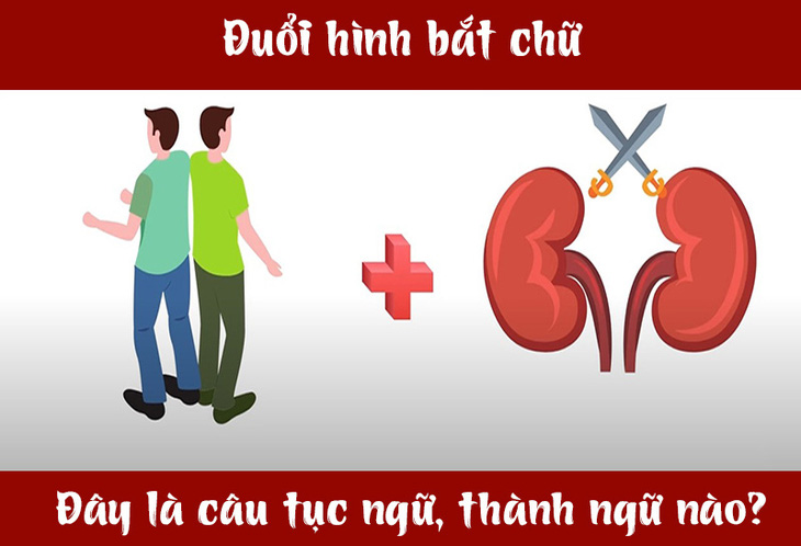 IQ cao có đoán được đây là câu tục ngữ, thành ngữ gì? (P29)- Ảnh 1.