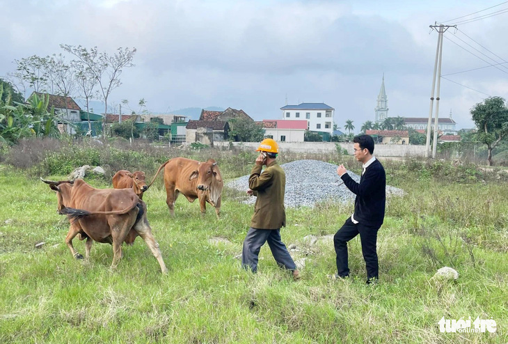 Ông Sơn gọi điện cho người thân khi nhờ cộng đồng mạng tìm thấy ba con bò đi lạc - Ảnh: TÂM PHẠM