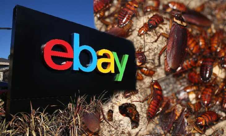 eBay Inc. vừa chính thức nhận án phạt 3 triệu USD sau khi các nhân viên gửi gián, nhện sống và nhiều vật dụng quấy rối đến nhà một cặp vợ chồng ở bang Massachusetts - Ảnh: New Straits Times