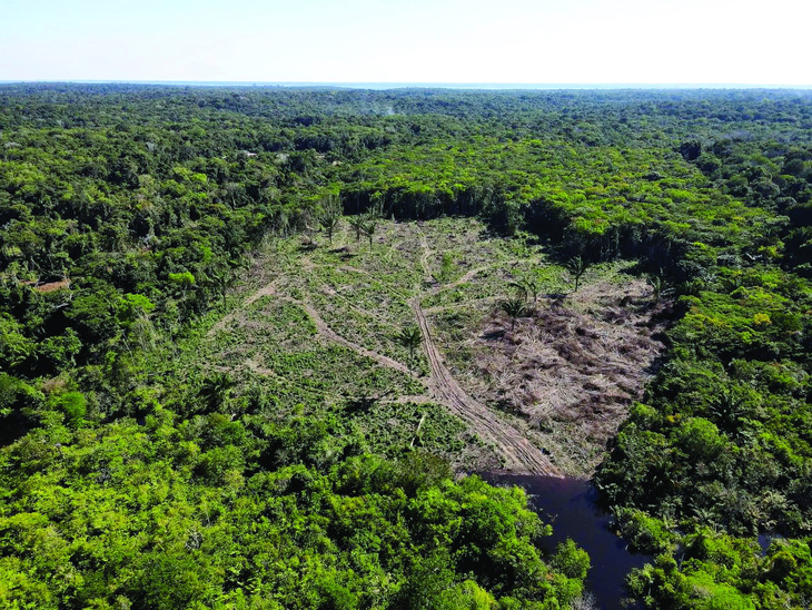 Ảnh chụp từ trên cao cho thấy khu vực rừng nhiệt đới Amazon bị phá ở bang Amazonas, Brazil ngày 8-7-2022. Ảnh: Bruno Kelly/Reuters