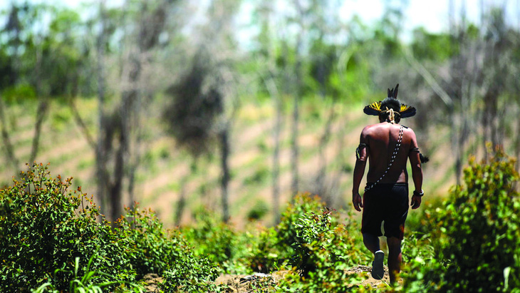 Một người đàn ông Guarani đi qua một đoạn đã bị dọn sạch trong rừng Đại Tây Dương, nơi cộng đồng bản địa địa phương đang cố gắng trồng lại rừng. Ảnh: DIEGO HERCULANO/Getty Images