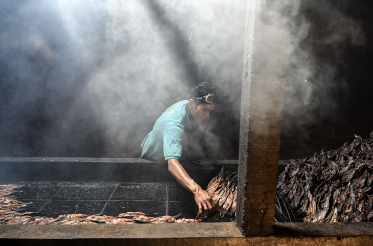 Món thịt cá trê xông khói không chỉ giúp giữ gìn, quảng bá truyền thống ẩm thực của cư dân Indonesia mà còn đóng góp đáng kể cho nền kinh tế địa phương. Trong hình là một công nhân đang xếp lại mẻ cá đầu tiên trong ngày 
