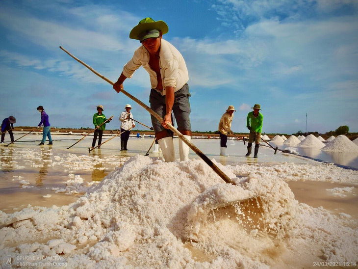 Festival nghề muối Việt Nam - Bạc Liêu là sự kiện nổi bật của tỉnh Bạc Liêu ngay sau Tết Nguyên đán 2024 - Ảnh: PHAN THANH CƯỜNG