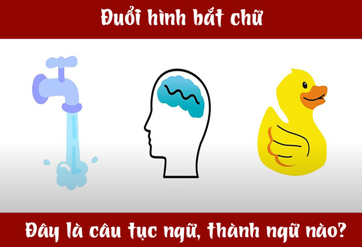 IQ cao có đoán được đây là câu tục ngữ, thành ngữ gì? (P35)- Ảnh 3.