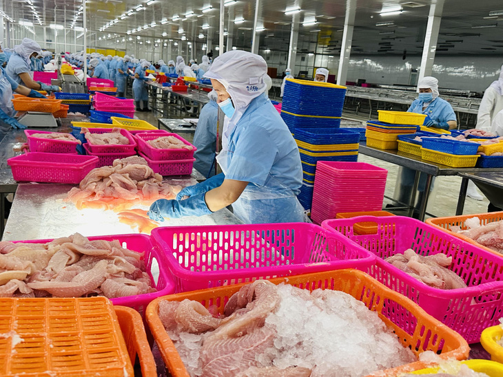 Hiệp hội Chế biến và Xuất khẩu thủy sản Việt Nam (VASEP) kiến nghị nhiều vấn đề với thủy sản như tôm Việt xuất khẩu, cá tra... - Ảnh: THẢO THƯƠNG