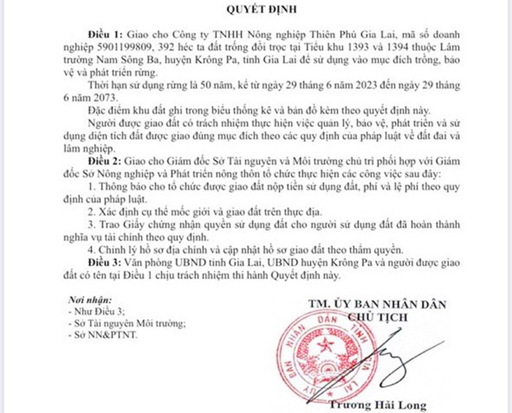 Quyết định giao đất giả được cho là do Nguyễn Thành Duy - em trai của chủ doanh nghiệp Thiên Phú Gia Lai thực hiện - Ảnh: H.C.Đ.
