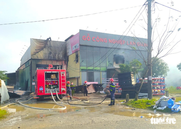 Xưởng gỗ ép công nghiệp Lam Giang, nơi xảy ra vụ cháy - Ảnh: LÊ MINH