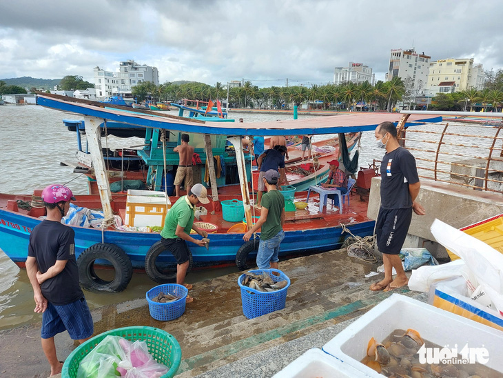 Tàu cá đánh bắt ốc, ghẹ tại vùng biển Phú Quốc (Kiên Giang) - Ảnh: CHÍ CÔNG