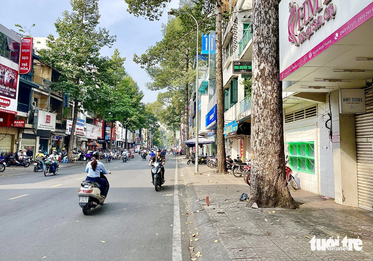 Theo ghi nhận của phóng viên sáng 19-1, hiện trường vụ rơi nhánh cây ở đường Nguyễn Trãi (quận 5) đã được dọn dẹp - Ảnh: CHÂU TUẤN
