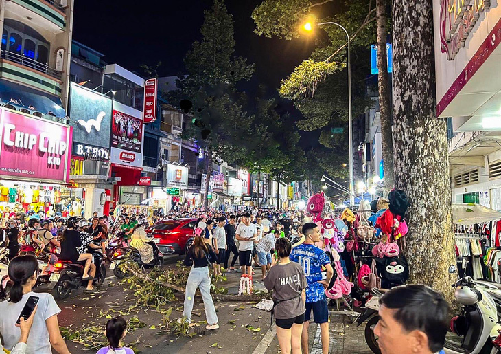 Hiện trường vụ nhánh cây rơi trúng đầu người bán hàng ở vỉa hè đường Nguyễn Trãi (quận 5, TP.HCM) tối 18-1 - Ảnh: Page Tôi là dân quận 5
