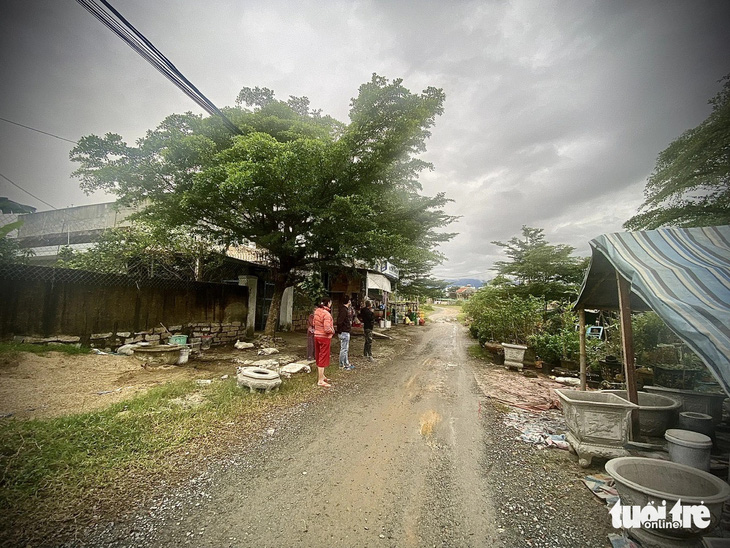 Một tuyến đường đất ở khu tái định cư Hòa Liên 4, huyện Hòa Vang, TP Đà Nẵng - Ảnh: TRƯỜNG TRUNG