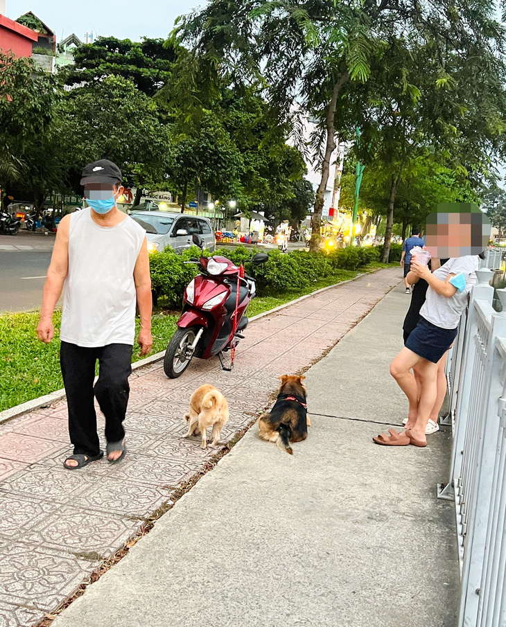 Những chú chó không dây dẫn, không rọ mõm ở khu vực bờ kè kênh Nhiêu Lộc (quận 3, TP.HCM) - Ảnh: B. VÂN