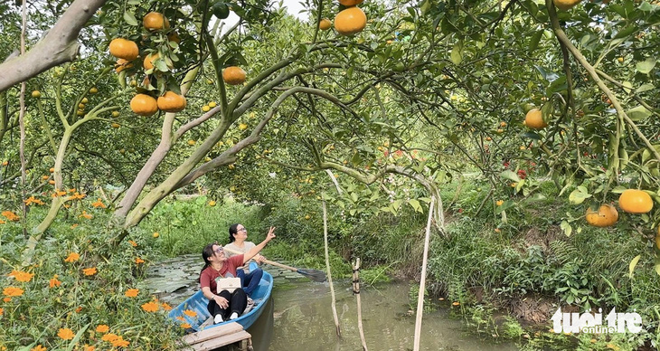 Guests experience canoeing to see tangerines - Photo: DANG TUYET