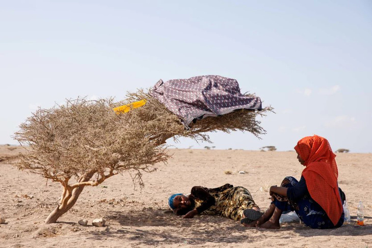 Hai di dân nghỉ tạm dưới bóng một cái cây hiếm hoi giữa trời nắng nóng tại vùng Godorya, Cộng hòa Djibouti ở châu Phi - Ảnh: GETTY IMAGES
