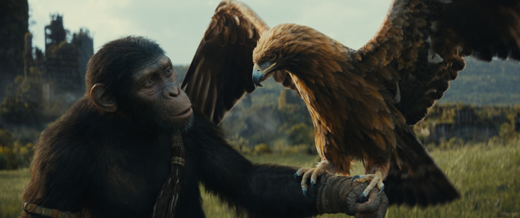 Planet of the Apes là một dòng phim thương mại nổi bật khi vẫn duy trì được chất lượng kỹ xảo, kịch bản cũng như diễn xuất - 20th Television