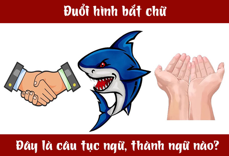 Câu tục ngữ, thành ngữ 'khó nhằn' này là gì? (P39)- Ảnh 1.