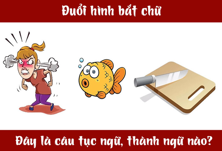 Câu tục ngữ, thành ngữ 'khó nhằn' này là gì? (P39)- Ảnh 3.