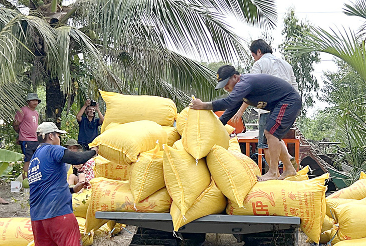 Nông dân huyện Phước Long (Bạc Liêu) vui mừng thu hoạch lúa đông xuân dịp Tết Giáp Thìn trúng giá, có loại lúa trên 10.000 đồng/kg - Ảnh: CHÍ QUỐC