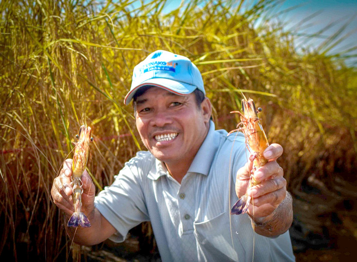 Ông Lê Văn Mưa (huyện Thới Bình, tỉnh Cà Mau) vui mừng vì năm nay vừa trúng được vụ lúa thu được hơn 55 triệu đồng, vừa trúng vụ tôm hơn 50 triệu đồng - Ảnh: THANH HUYỀN