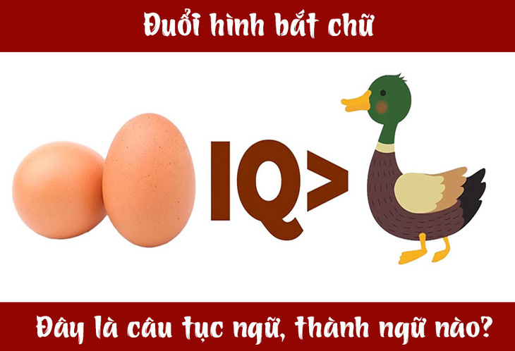 Câu tục ngữ, thành ngữ 'khó nhằn' này là gì? (P38)- Ảnh 3.