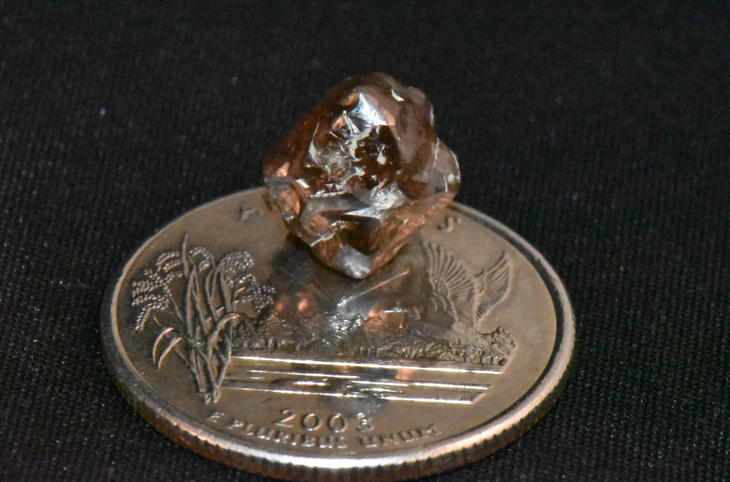 Kích cỡ của viên kim cương so với 1 đồng xu - Ảnh: COURTESY OF ARKANSAS STATE PARKS