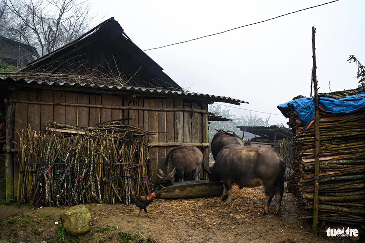 Cảnh sinh hoạt trong giá rét -3 độ C ở ngôi làng cao nhất Việt Nam- Ảnh 6.