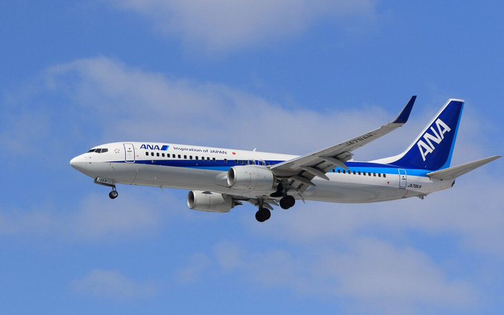 Một chiếc Boeing 737 của Hãng hàng không All Nippon Airways (ANA) - Ảnh: GUARDIAN