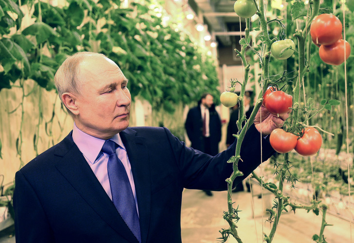 Tổng thống Nga Vladimir Putin thăm nhà kính trồng rau tại Anadyr, thủ phủ vùng Chukotka, giáp bán đảo Alaska hôm 10-1 - Ảnh: REUTERS