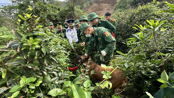 Chó nghiệp vụ quần thảo khu vực biển Quảng Ngãi, nơi liên tục phát hiện ma túy dạt vào bờ - Ảnh: T.M.