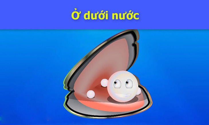 Câu đố hack não: Ở đâu trên thế giới chỉ có con trai mà không có con gái?- Ảnh 2.