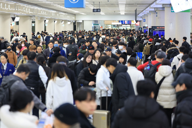 Hàn Quốc: Đảo Jeju hỗ trợ vé máy bay cho lao động thời vụ nước ngoài- Ảnh 1.
