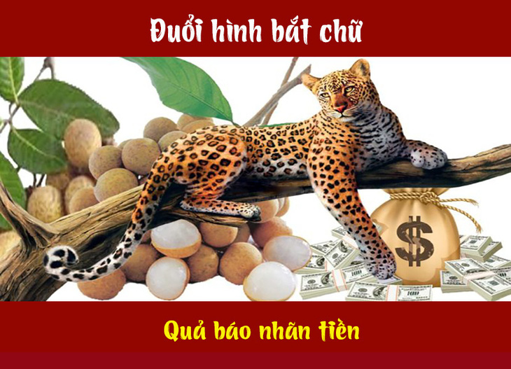 Câu tục ngữ, thành ngữ 'khó nhằn' này là gì? (P42)- Ảnh 2.